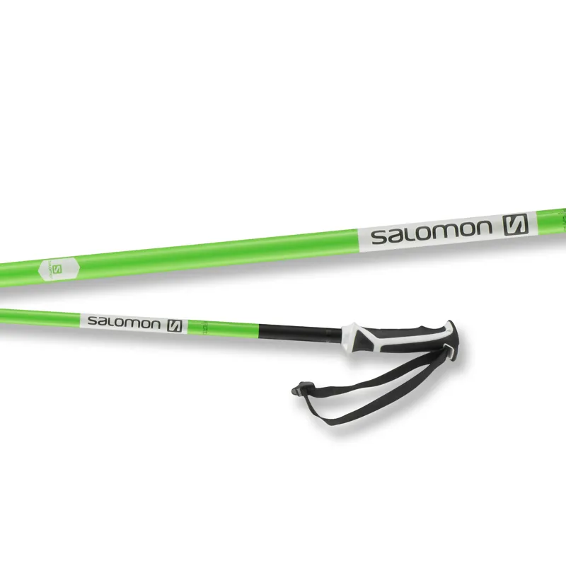salomon carbon poles
