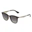 2025 Sinner Cowell sunglasses tortoise/brown