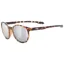 2026 Uvex LGL 54 sunglasses havanna/silver lens