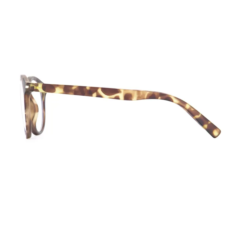 2025 Sinner Patnem sunglasses olive/green-1