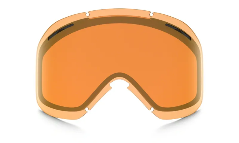 Oakley o2 clearance xl goggles