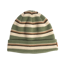 2027 Coal Harbor Beanie Sage Stripe
