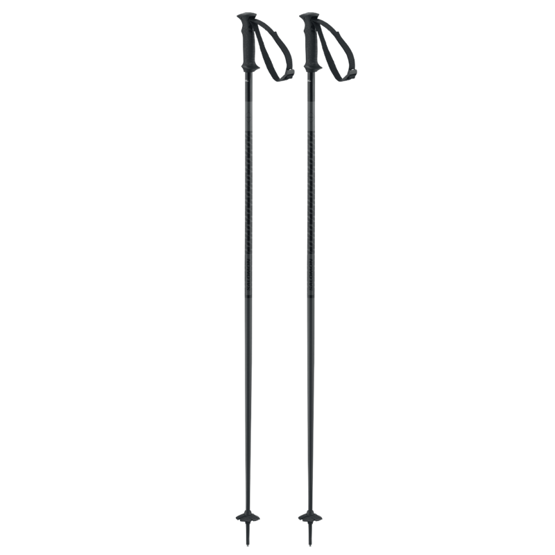 2027 Salomon Polar Access Ski poles