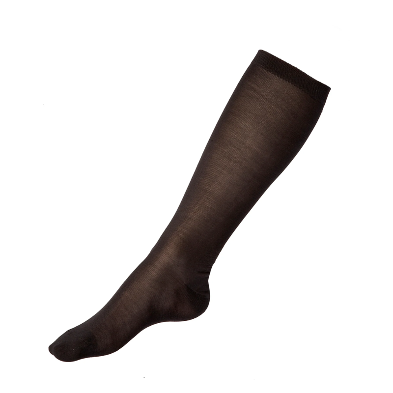 2026 Steiner silk socks black