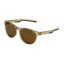 2027 Sinner Niva Sunglasses Brown/Gold