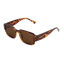 2027 Sinner Sidari Sunglasses Tortoise/Brown