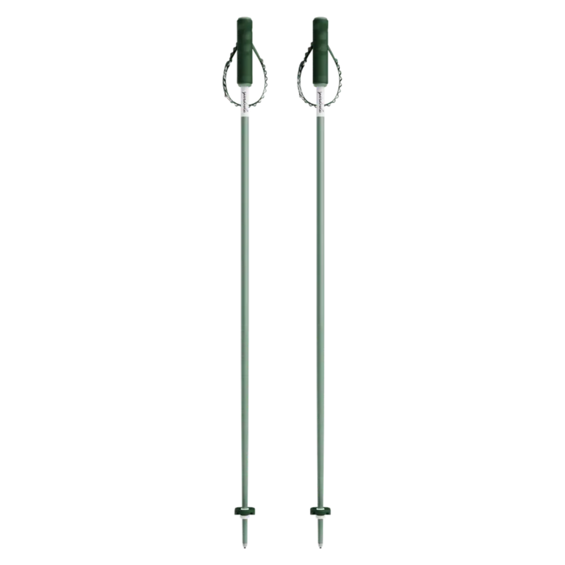 2027 Yardsale P1 Ski Poles Tree Run